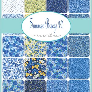 Summer Breeze VI